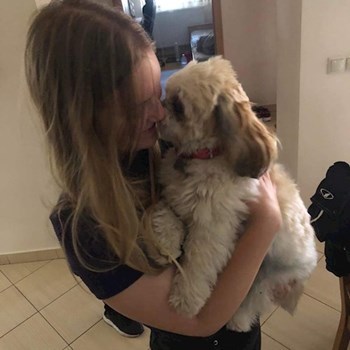 thumbnail petsitter Debrecen vagy Állat szitter a kutyák cicák