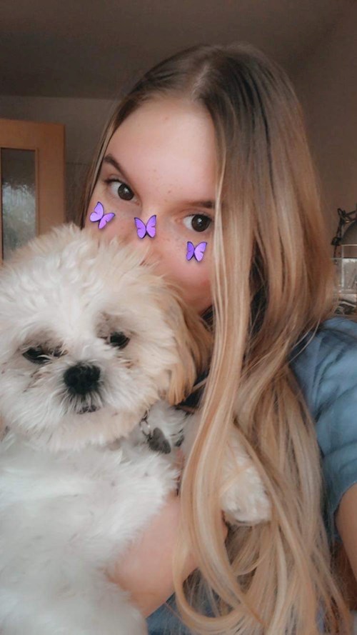 Fucskó- petsitter Debrecen vagy Állat szitter a kutyák cicák