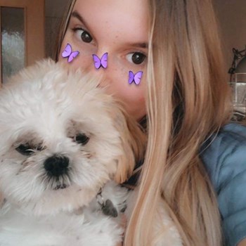 thumbnail petsitter Debrecen vagy Állat szitter a kutyák cicák