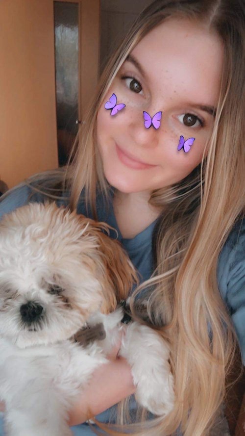 Fucskó- petsitter Debrecen vagy Állat szitter a kutyák cicák