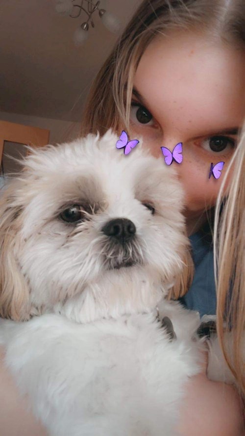 Fucskó- petsitter Debrecen vagy Állat szitter a kutyák cicák