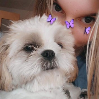 thumbnail petsitter Debrecen vagy Állat szitter a kutyák cicák