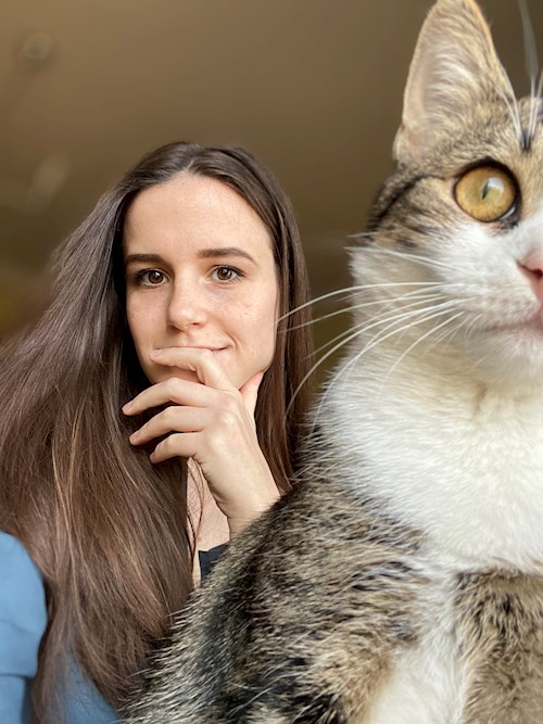 Ludvigh- petsitter Budapest or Pet nanny for cats 