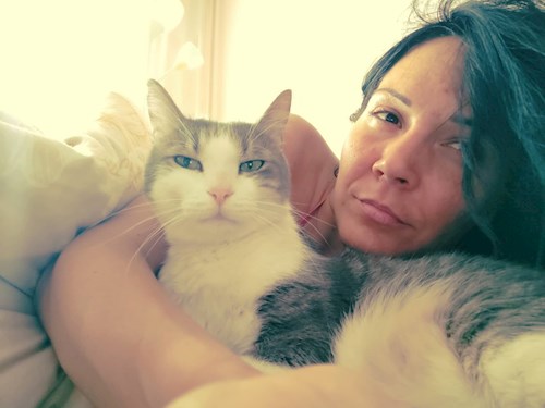 Tábori- petsitter Budapest or Pet nanny for cats