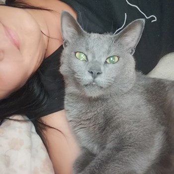 thumbnail petsitter Budapest or pet nanny for cats