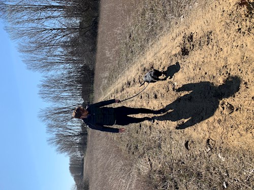 Szépréthy- petsitter Budapest or Pet nanny for