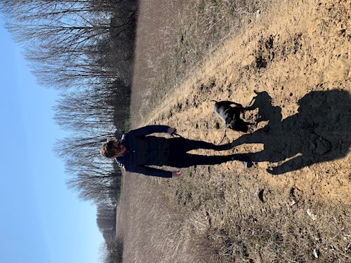 Szépréthy- petsitter Budapest or Pet nanny for