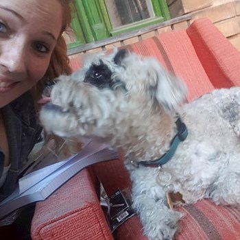 thumbnail petsitter Budapest or pet nanny for dogs