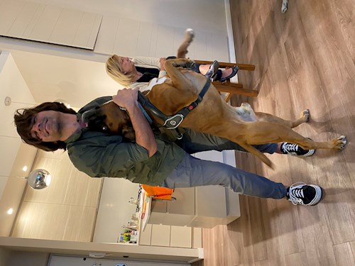 Hunor- petsitter Budapest or Pet nanny for dogs