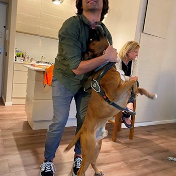 thumbnail petsitter Budapest or pet nanny for dogs