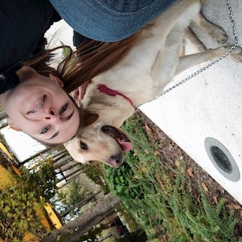  thumbnail petsitter Budapest or pet nanny for dogs cats 