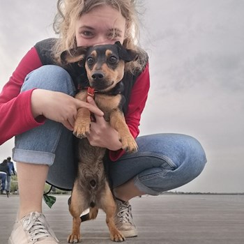  thumbnail petsitter Budapest or pet nanny for dogs cats 