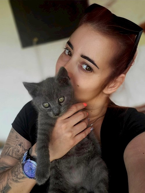 Szakál- petsitter Budapest or Pet nanny for cats