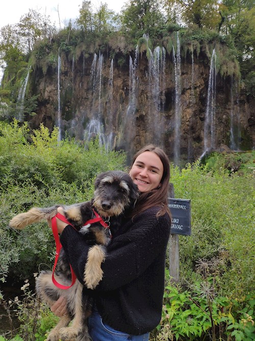 Luca- petsitter Budapest or Pet nanny for dogs cats 