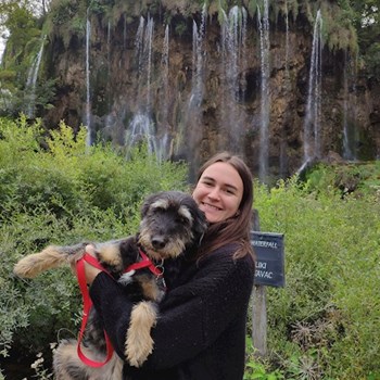 thumbnail petsitter Budapest vagy Állat szitter a kutyák cicák