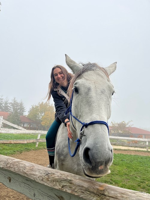 Luca- petsitter Budapest vagy Állat szitter a kutyák cicák