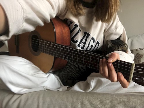 Luca- petsitter Budapest vagy Állat szitter a kutyák cicák