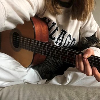 thumbnail petsitter Budapest vagy Állat szitter a kutyák cicák