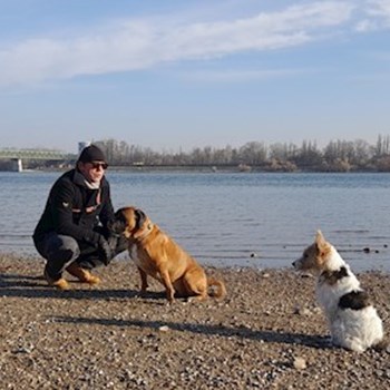  thumbnail petsitter Budapest; Belváros; Palotanegyed; Rökk Szilárd u. or pet nanny for dogs cats 