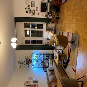  thumbnail petsitter Budapest or pet nanny for 