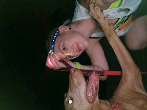 Kopaszné- petsitter Tárnok or Pet nanny for dogs cats