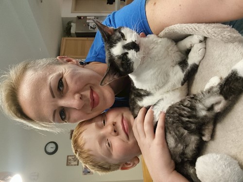 Kopaszné- petsitter Tárnok or Pet nanny for dogs cats