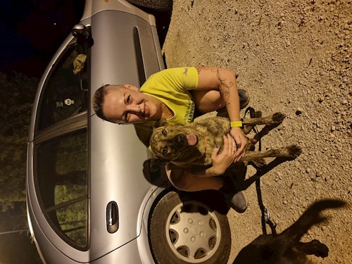 Kopaszné- petsitter Tárnok or Pet nanny for dogs cats