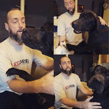 thumbnail petsitter Budapest or pet nanny for dogs cats