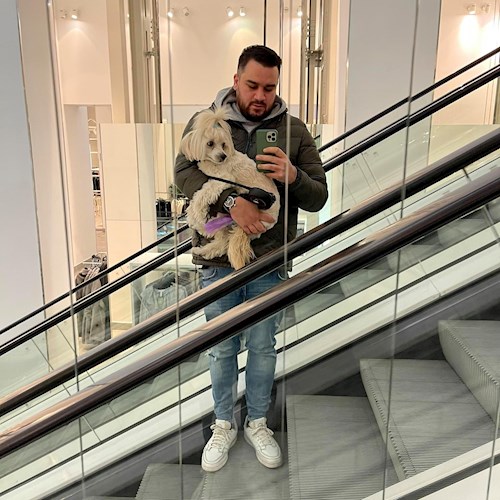 Orgován- petsitter Budapest or Pet nanny for dogs cats