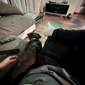 thumbnail petsitter Budapest or pet nanny for dogs cats