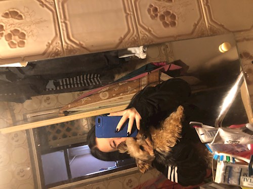 Labancz- petsitter Budapest or Pet nanny for dogs cats