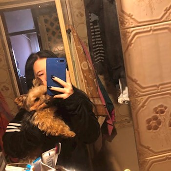 thumbnail petsitter Budapest or pet nanny for dogs cats