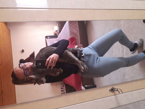 Kiss- petsitter Budapest vagy Állat szitter a kutyák cicák