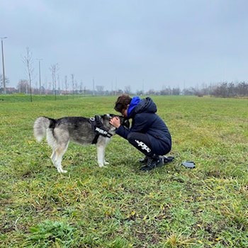 thumbnail petsitter Debrecen or pet nanny for dogs