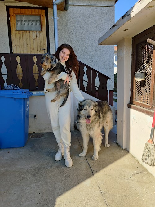 Gábor- petsitter Pécs or Pet nanny for dogs cats