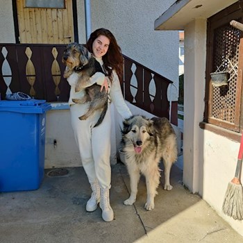 thumbnail petsitter Pécs or pet nanny for dogs cats