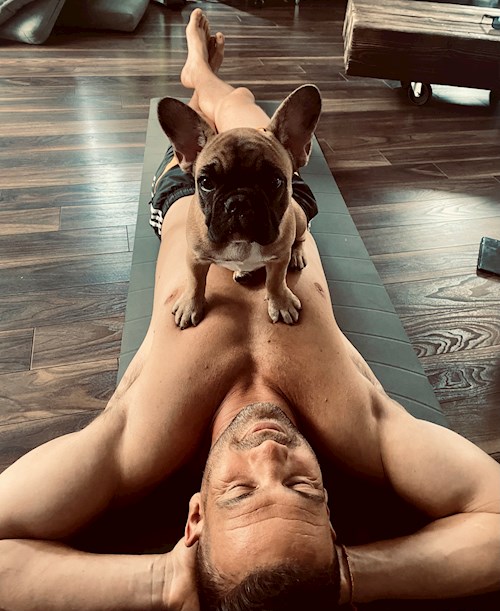 Lukacs- petsitter Érd or Pet nanny for