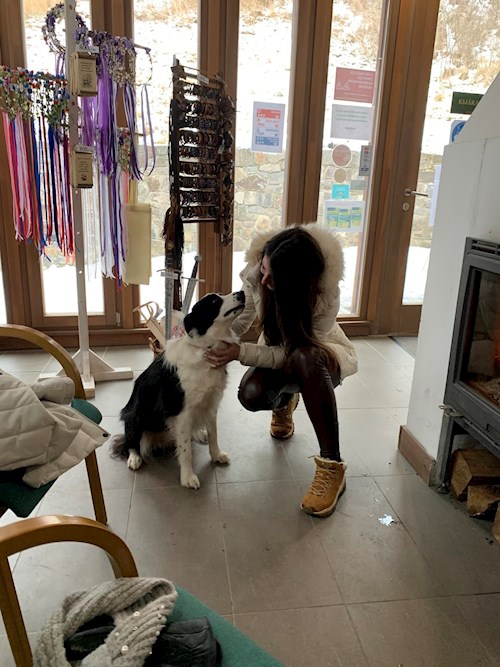 Blanka- petsitter Budapest vagy Állat szitter a