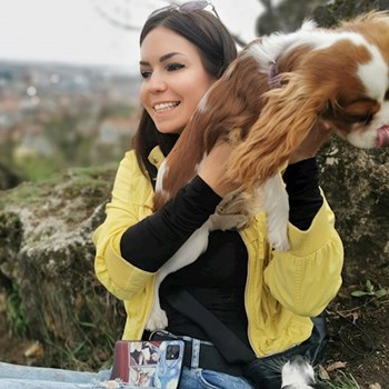 thumbnail petsitter Budapest vagy Állat szitter a kutyák cicák