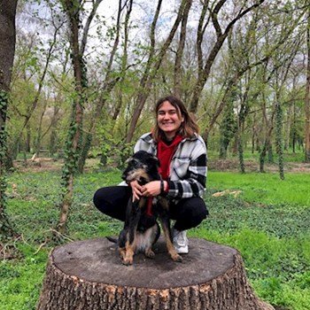 thumbnail petsitter Budapest vagy Állat szitter a kutyák cicák