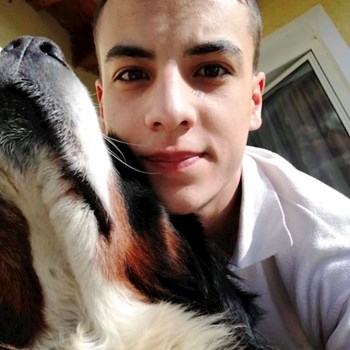 thumbnail petsitter Budapest or pet nanny for dogs cats