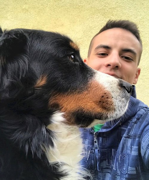 Kolos- petsitter Budapest or Pet nanny for dogs cats