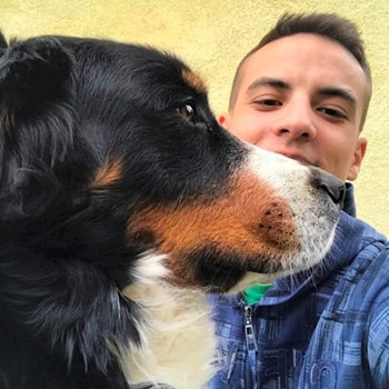  thumbnail petsitter Budapest vagy Állat szitter a kutyák cicák 