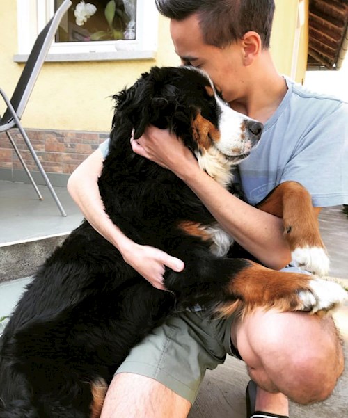 Kolos- petsitter Budapest or Pet nanny for dogs cats