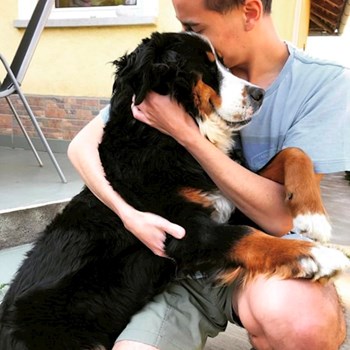 thumbnail petsitter Budapest or pet nanny for dogs cats