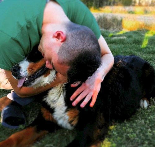 Kolos- petsitter Budapest or Pet nanny for dogs cats