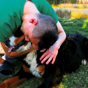 thumbnail petsitter Budapest or pet nanny for dogs cats