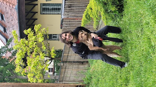 Hunor- petsitter Budapest or Pet nanny for dogs