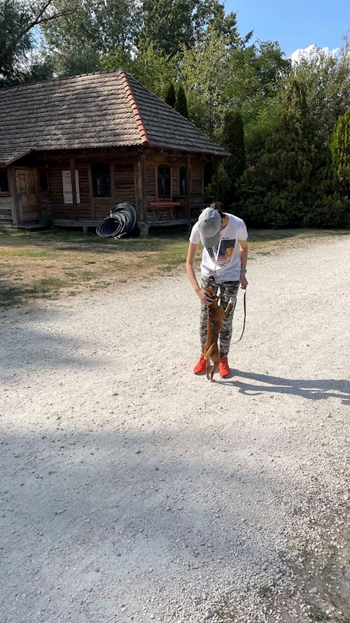 Soós- petsitter Biatorbágy or Pet nanny for dogs