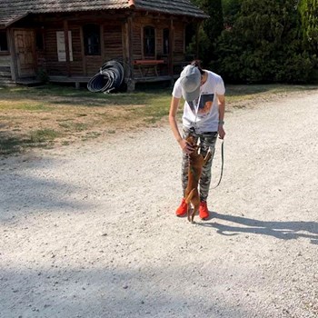 thumbnail petsitter Biatorbágy or pet nanny for dogs